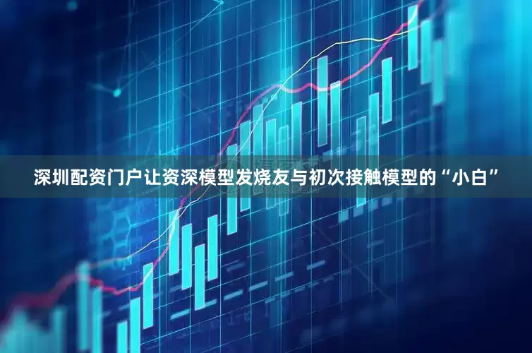 深圳配资门户让资深模型发烧友与初次接触模型的“小白”