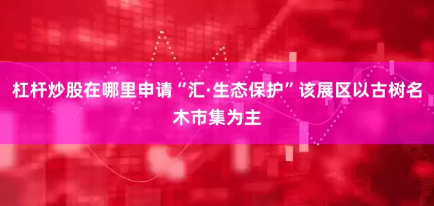 杠杆炒股在哪里申请“汇·生态保护”该展区以古树名木市集为主