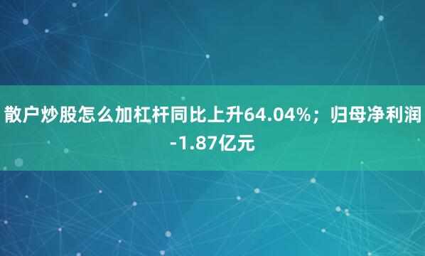 散户炒股怎么加杠杆同比上升64.04%；归母净利润-1.87亿元